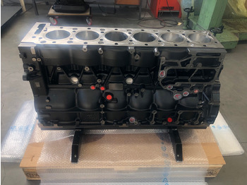 Bloque de cilindros para Camión SHORTBLOCK / BLOCCO MOTORE MAN D2066 EURO6 (camion e bus): foto 5