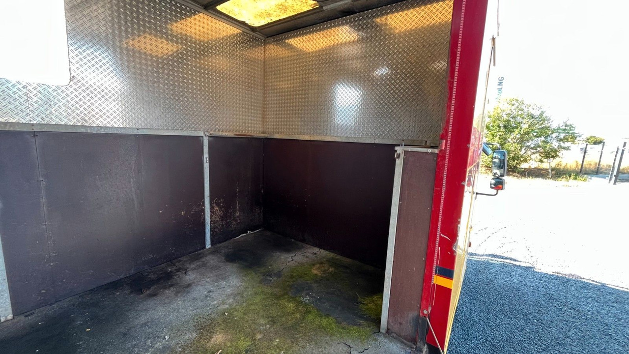 Camión para caballos MAN TGL 10.180 Euro 4  Pferdetransporter Horse MAN TGL 10.180 Euro 4  Pferdetransporter Horse: foto 8