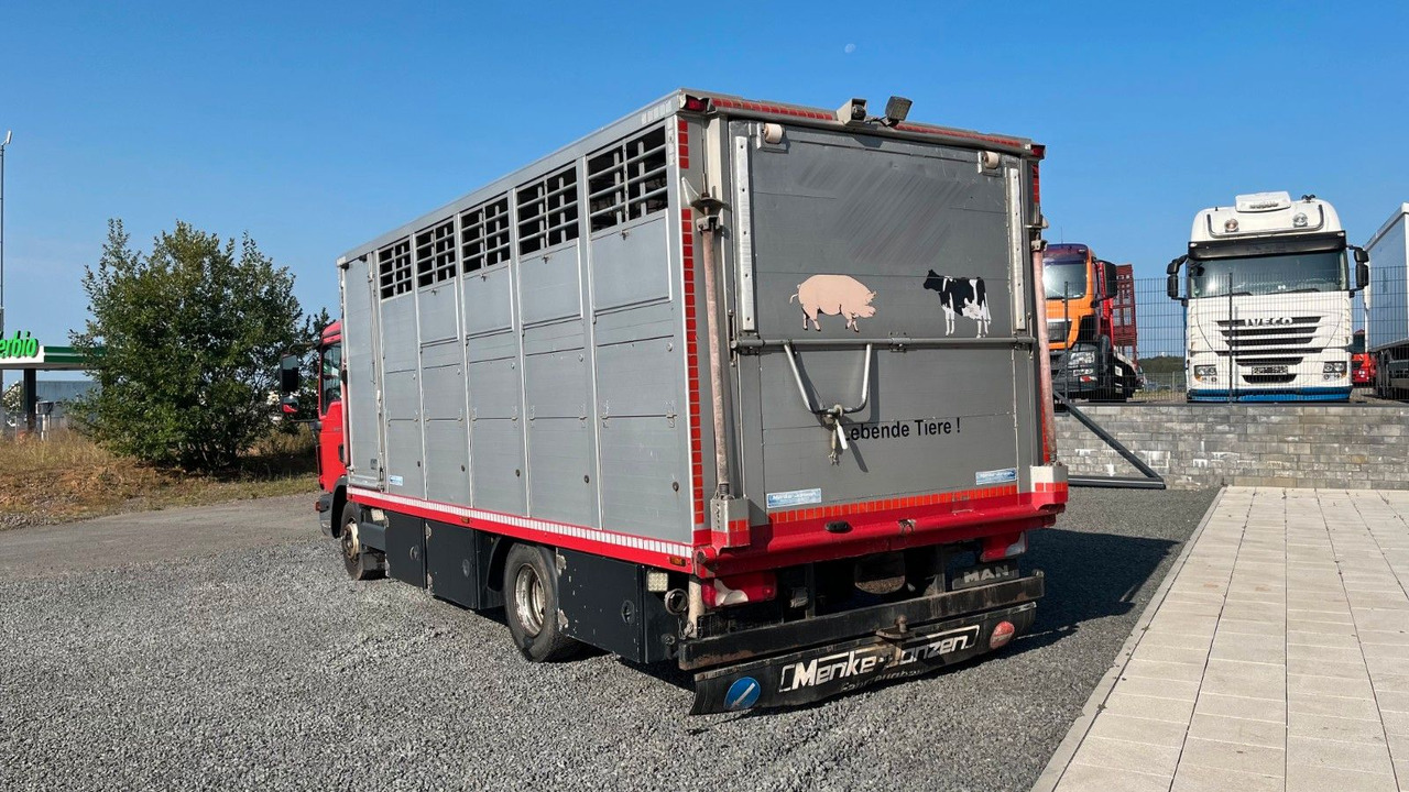 MAN TGL 10.220 Viehtransporter Rampe Trennwände - Camión para caballos: foto 5 MAN TGL 10.220 Viehtransporter Rampe Trennwände - Camión para caballos: foto 5