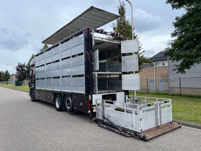 DAF XF 460 2017 berdex 3 lagen varkens - Camión transporte de ganado: foto 4 DAF XF 460 2017 berdex 3 lagen varkens - Camión transporte de ganado: foto 4