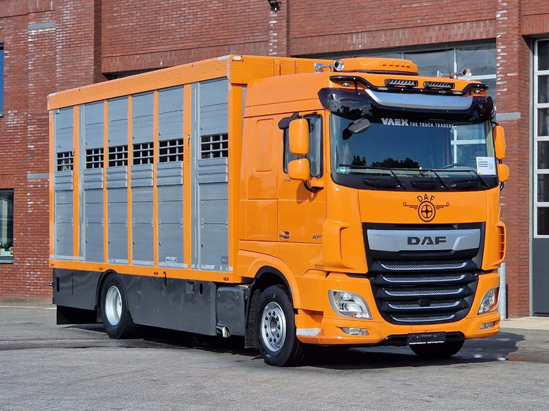 DAF XF 530 4x2 - Livestock Menke 2 deck water & ventilation - Camión transporte de ganado: foto 3 DAF XF 530 4x2 - Livestock Menke 2 deck water & ventilation - Camión transporte de ganado: foto 3