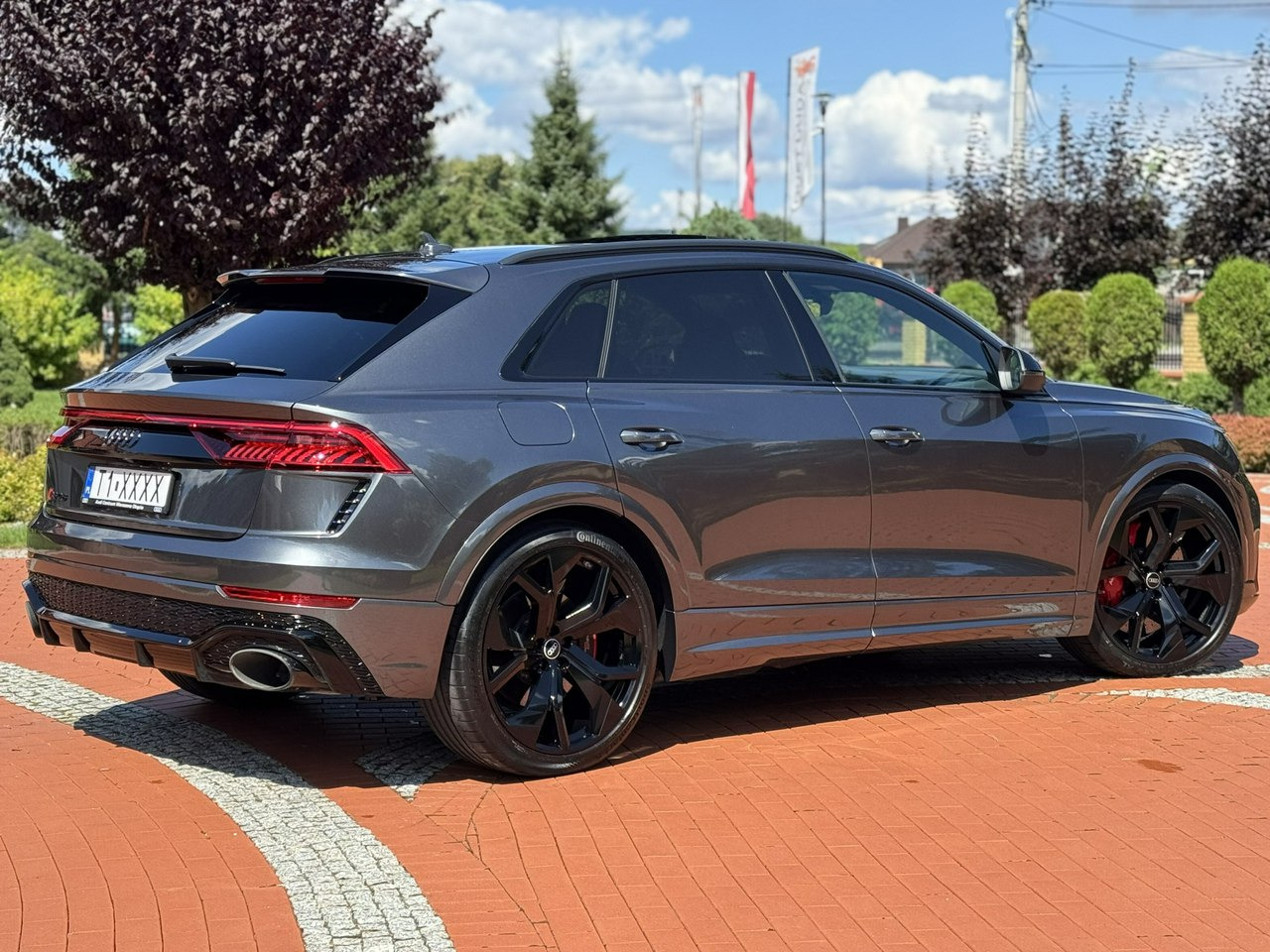 SUV/ Todoterreno Audi RS Q8: foto 10