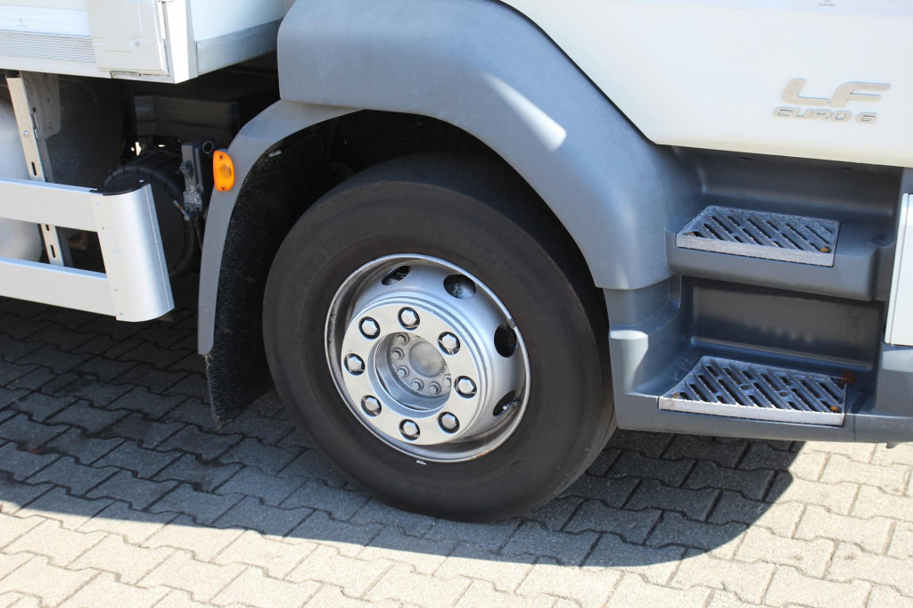 Camión frigorífico Daf LF 250 E6  Carrier Supra Strom Tür + LBW Kamera: foto 7