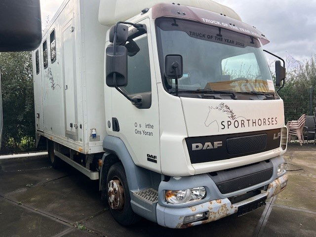 DAF LF 180 FA45.180 LF - Camión caja cerrada: foto 2 DAF LF 180 FA45.180 LF - Camión caja cerrada: foto 2