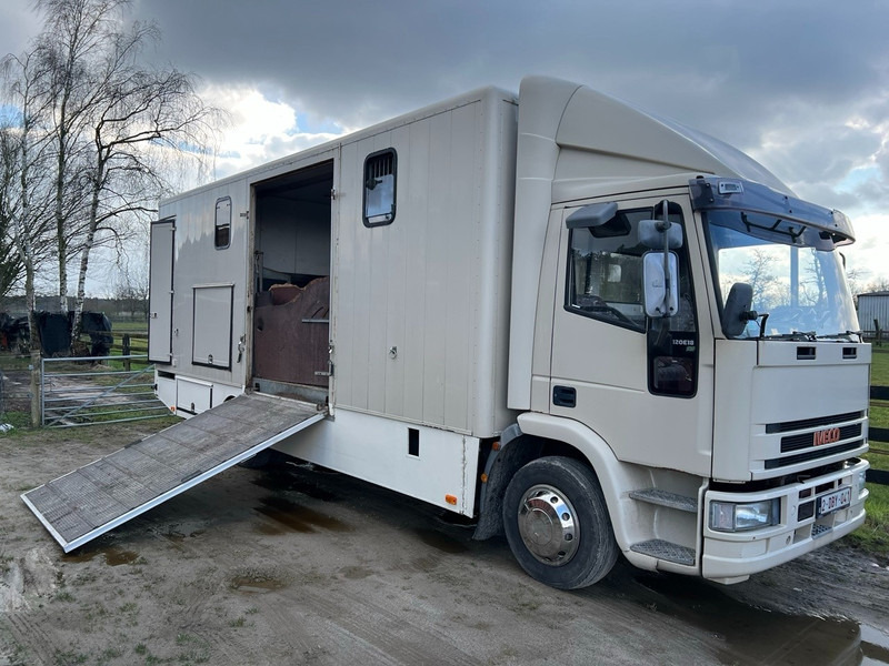 Iveco 120E18 - 3 HORSES - MANUAL - STEEL SUSPENSION - Camión para caballos: foto 1 Iveco 120E18 - 3 HORSES - MANUAL - STEEL SUSPENSION - Camión para caballos: foto 1