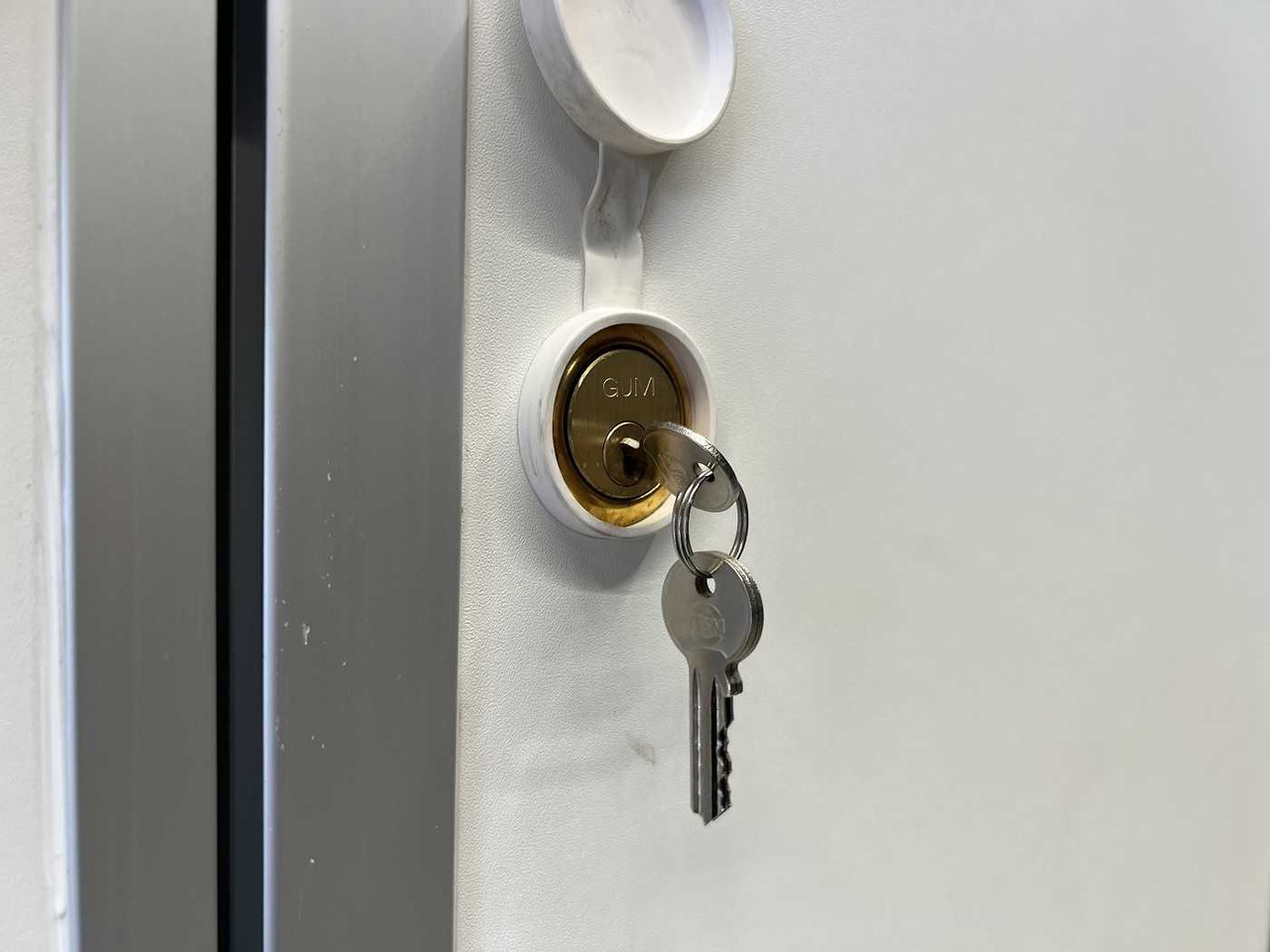 Remolque caja cerrada nuevo BLYSS F2736HTD Rampe Seitentür Kofferanhänger: foto 16