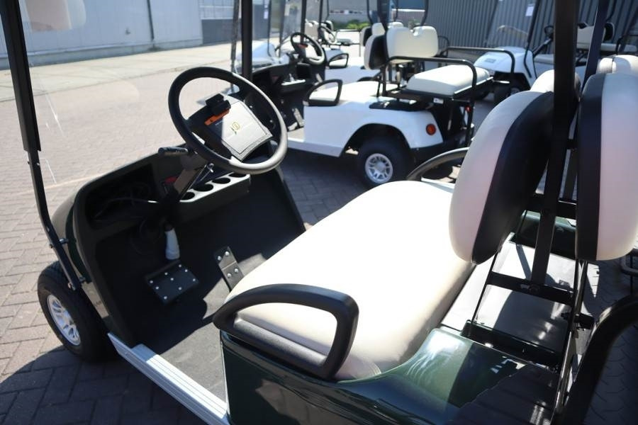 Carrito de golf BRINGO DG-C2 Valid Inspection, *Guarantee! Dutch R: foto 6