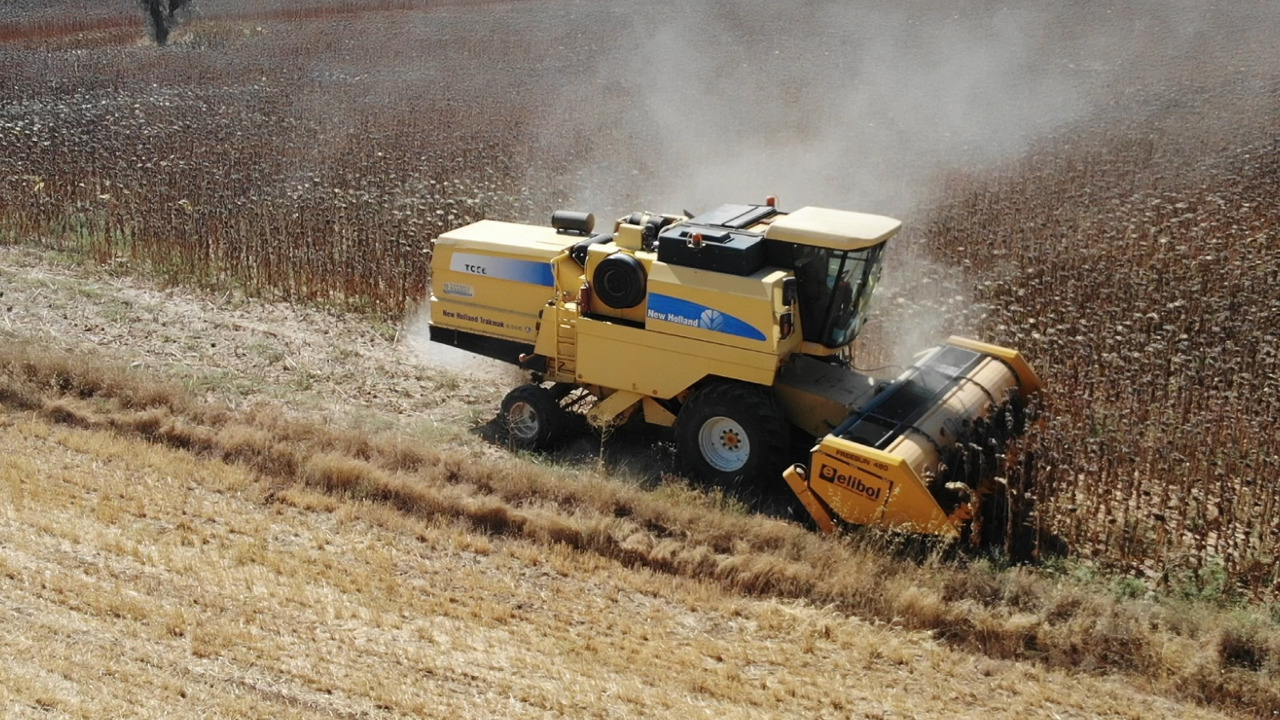 ELİBOL FREESUN 480 ROW INDEPENDENT SUNFLOWER HEADER - Cabezal de girasol: foto 5 ELİBOL FREESUN 480 ROW INDEPENDENT SUNFLOWER HEADER - Cabezal de girasol: foto 5