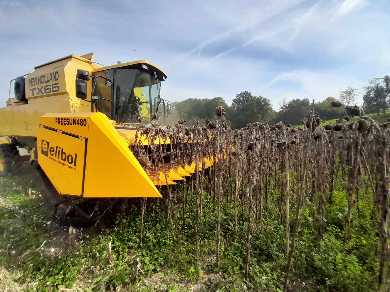 ELİBOL FREESUN 480 ROW INDEPENDENT SUNFLOWER HEADER - Cabezal de girasol: foto 4 ELİBOL FREESUN 480 ROW INDEPENDENT SUNFLOWER HEADER - Cabezal de girasol: foto 4