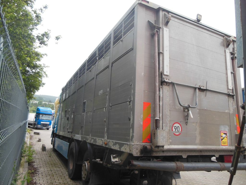 DAF XF 106.460, MENKE-JANZEN, UNFALL-FAHRBAR!! - Camión transporte de ganado: foto 4 DAF XF 106.460, MENKE-JANZEN, UNFALL-FAHRBAR!! - Camión transporte de ganado: foto 4