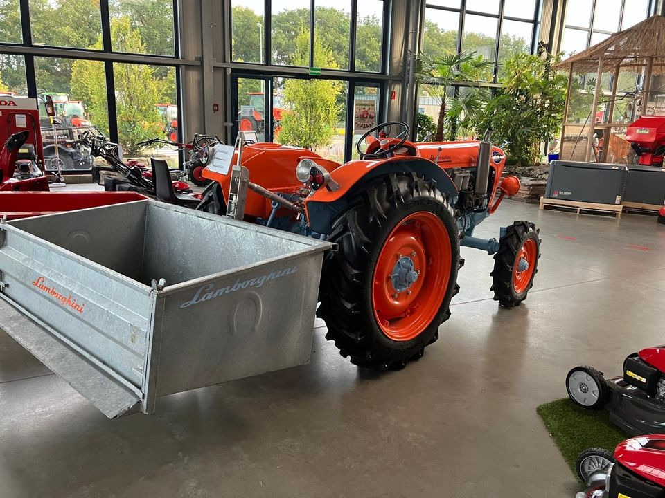 Lamborghini 2 R Typ FL3 Sammlerstück Oldtimer - Tractor: foto 3 Lamborghini 2 R Typ FL3 Sammlerstück Oldtimer - Tractor: foto 3