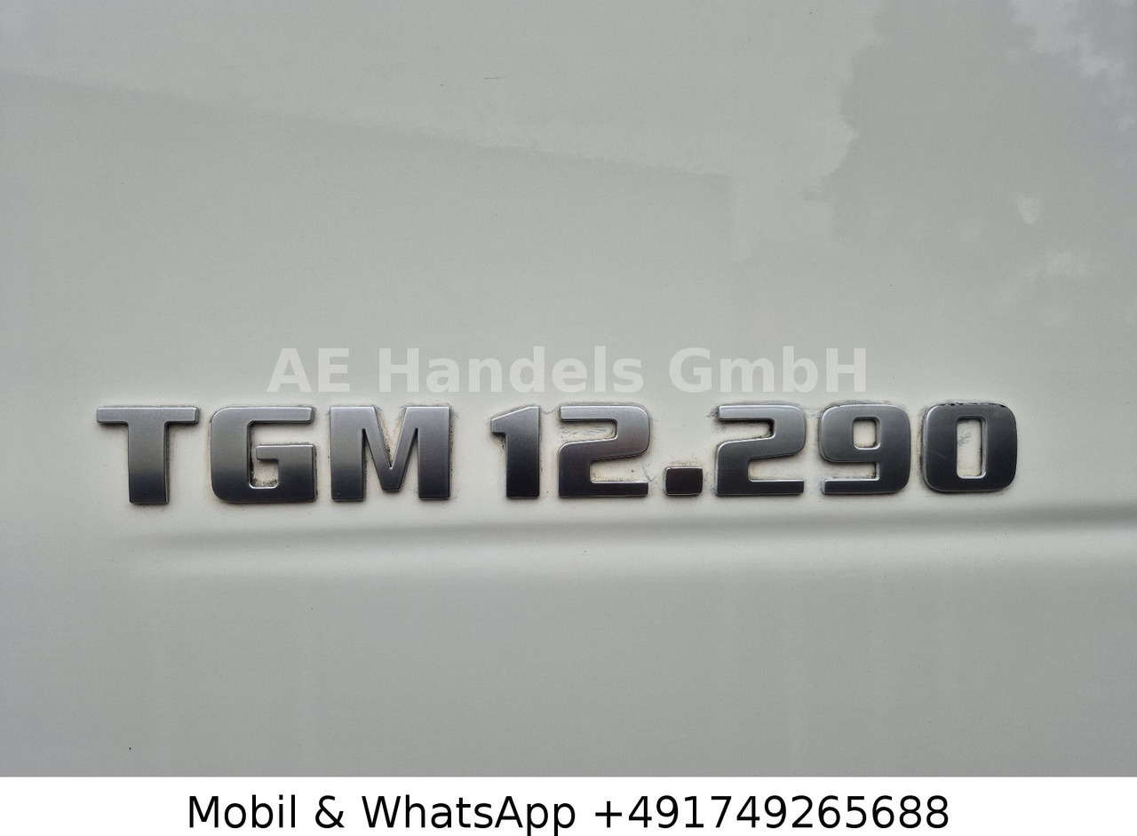Leasing para  MAN TGM 12.290 L BL *Edscha / 2xTank / LBW / AHK MAN TGM 12.290 L BL *Edscha / 2xTank / LBW / AHK: foto 9