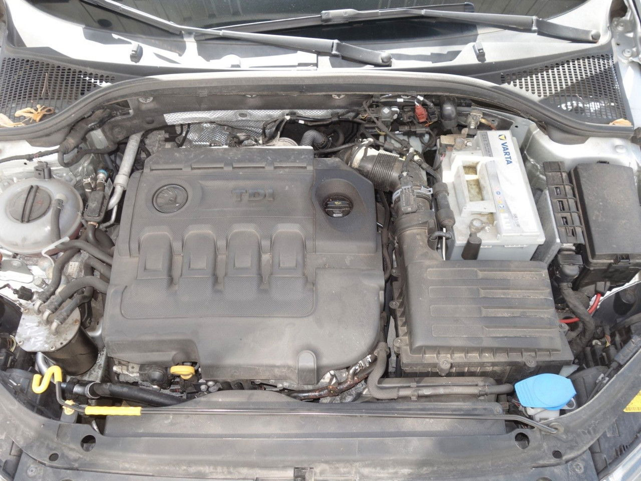Coche familiar Škoda Octavia Combi Ambition 1,6 TDI, DSG, Navi, Clima: foto 16