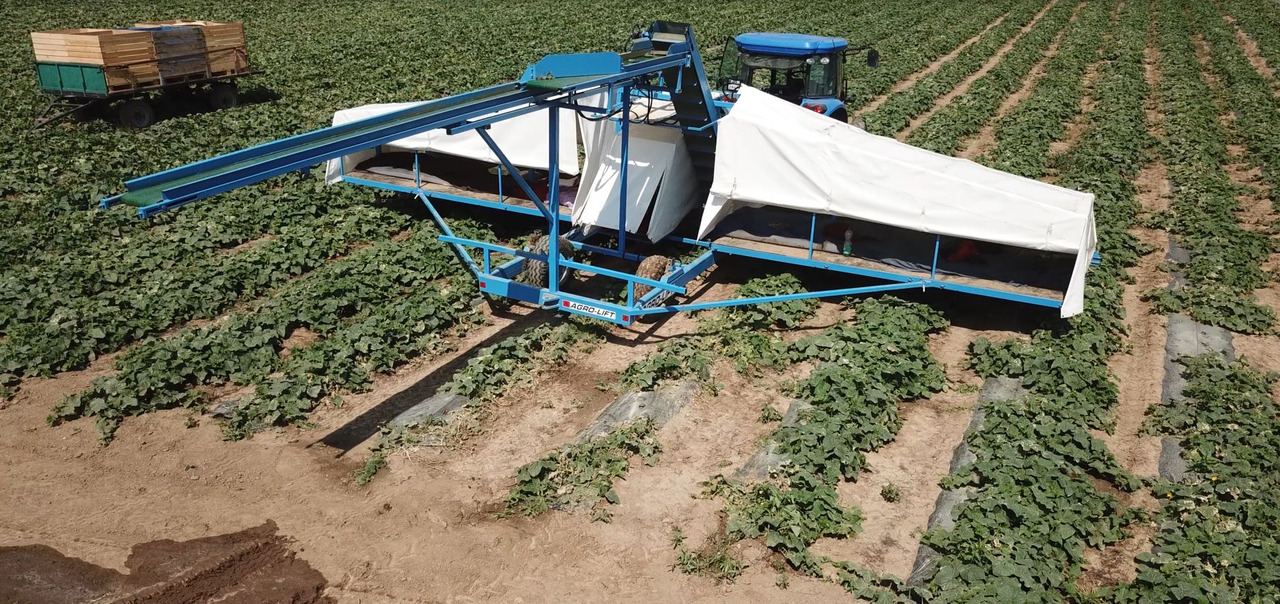 AGRO-LIFT Kombajn do ogórków - Cosechadora: foto 3 AGRO-LIFT Kombajn do ogórków - Cosechadora: foto 3