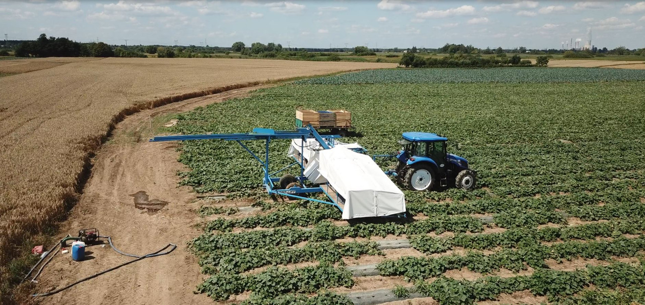 AGRO-LIFT Kombajn do ogórków - Cosechadora: foto 5 AGRO-LIFT Kombajn do ogórków - Cosechadora: foto 5