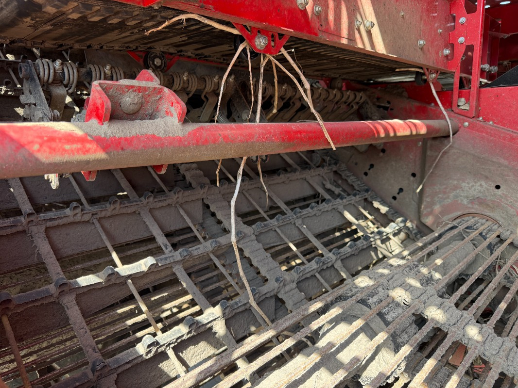 Cosechadora Grimme EVO 280 ClodSep: foto 11