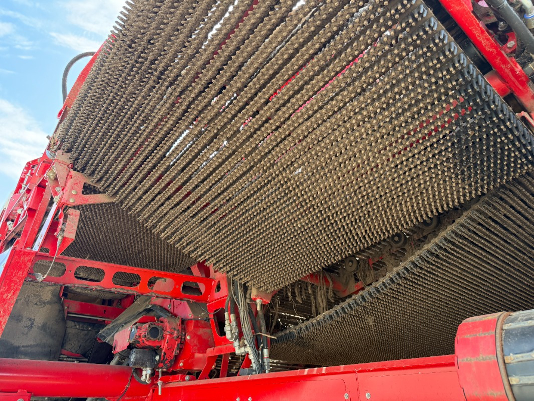 Cosechadora Grimme EVO 280 ClodSep: foto 9