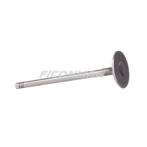Iveco Daily Fiat Ducato F1AE Intake Valve 500362855 / 504069199 - Válvula para Furgoneta: foto 1 Iveco Daily Fiat Ducato F1AE Intake Valve 500362855 / 504069199 - Válvula para Furgoneta: foto 1