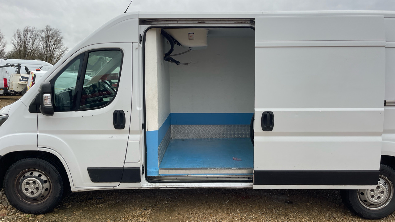 Furgoneta frigorifica FIAT DUCATO 35 2.3 MULTI JET 140PS: foto 14