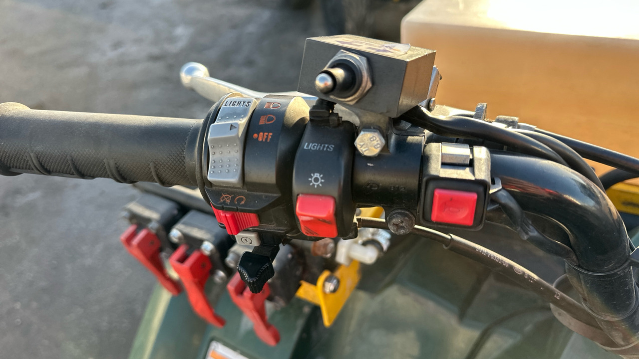 Cuadrimoto YAMAHA GRIZZLY 350: foto 25