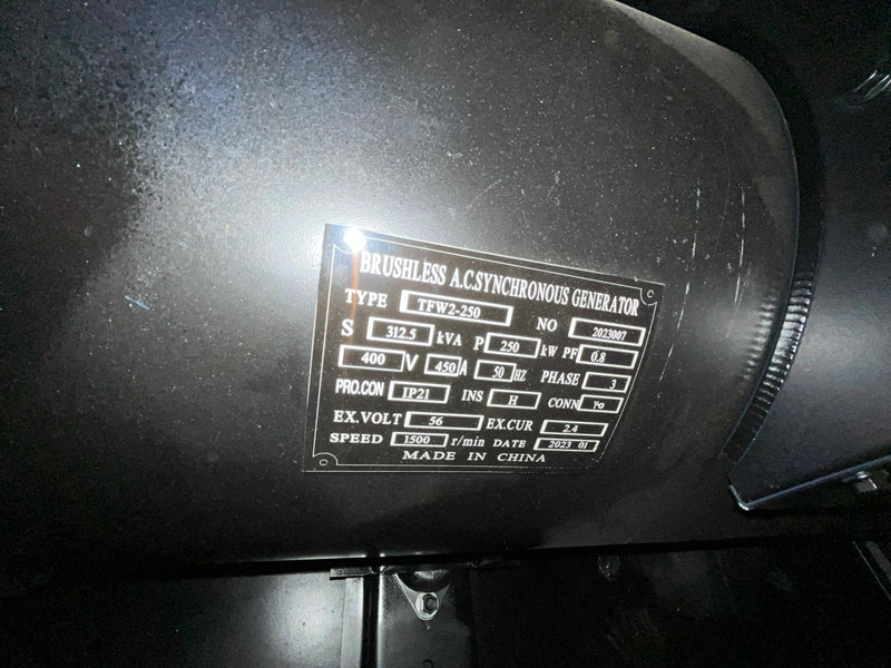 Generador industriale nuevo Giga power Giga power 250 kVa silent generator set - LT-W200GF: foto 11