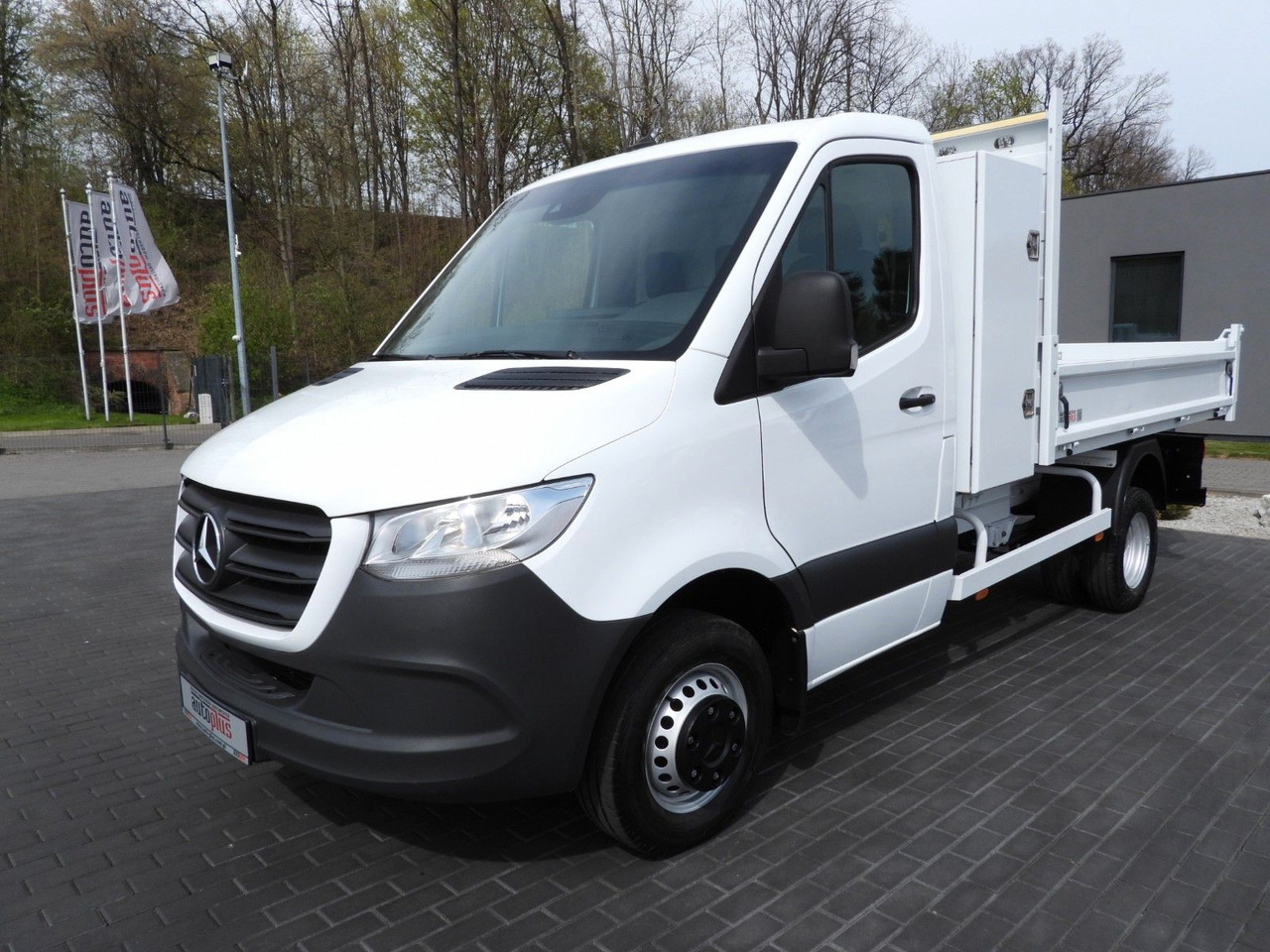 Furgoneta basculante Mercedes-Benz SPRINTER 516 KIPPER TEMPOMAT ZWILLINGSRÄDER: foto 6