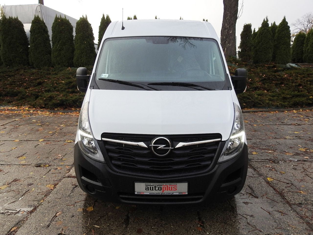 OPEL MOVANO - Furgoneta frigorifica: foto 5 OPEL MOVANO - Furgoneta frigorifica: foto 5