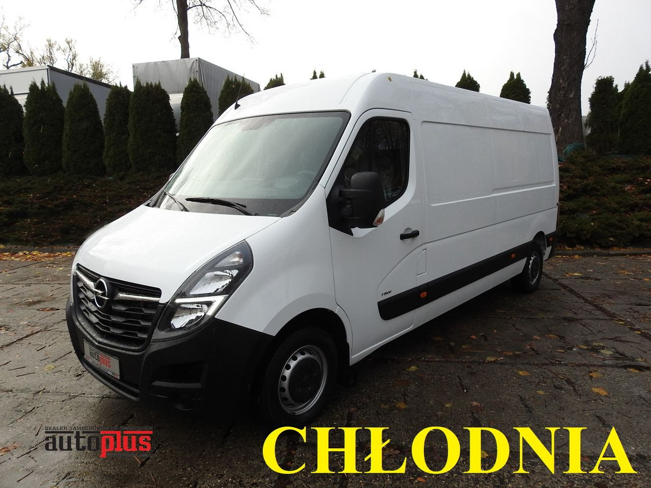 OPEL MOVANO - Furgoneta frigorifica: foto 1 OPEL MOVANO - Furgoneta frigorifica: foto 1