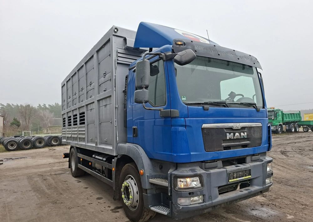MAN TGM 18.250 4x2 DO ŻYWCA - Camión transporte de ganado: foto 2 MAN TGM 18.250 4x2 DO ŻYWCA - Camión transporte de ganado: foto 2