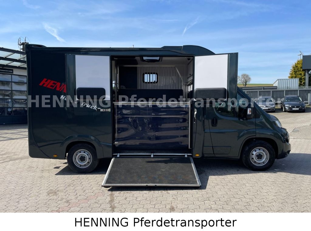 Camión para caballos nuevo Fiat Ducato 3 - Sitzer *VORFÜHRUNGSFAHRZEUG*: foto 7