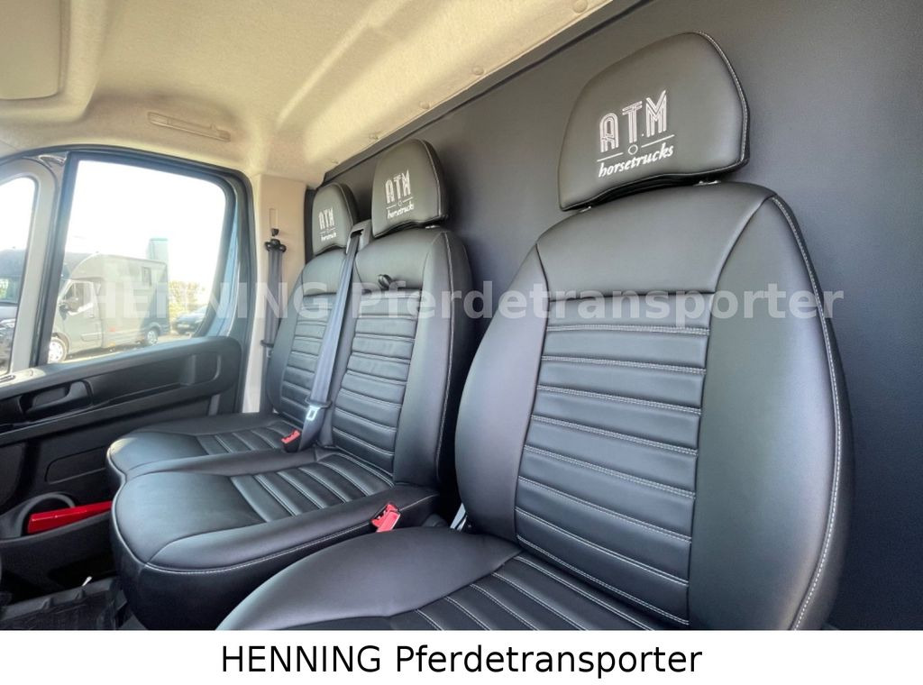 Camión para caballos nuevo Fiat Ducato 3 - Sitzer *VORFÜHRUNGSFAHRZEUG*: foto 20