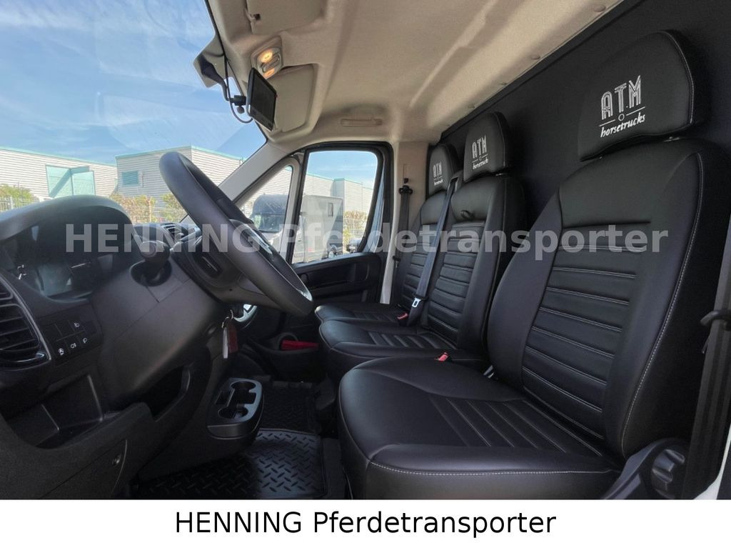 Camión para caballos nuevo Fiat Ducato 3 - Sitzer *VORFÜHRUNGSFAHRZEUG*: foto 19