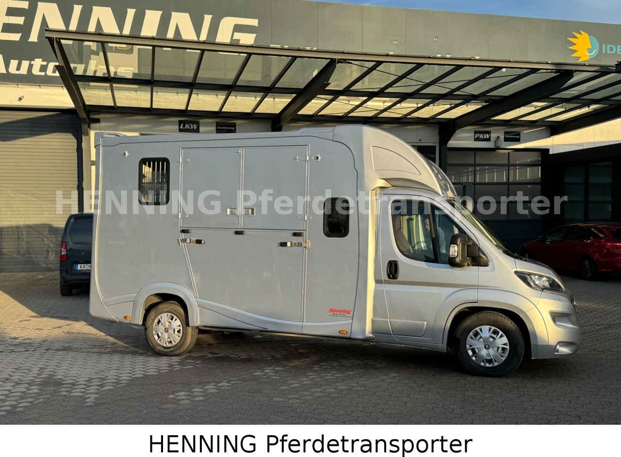 Fiat Ducato 5 - Sitzer PFERDETRANSPORTER - Camión transporte de ganado: foto 3 Fiat Ducato 5 - Sitzer PFERDETRANSPORTER - Camión transporte de ganado: foto 3