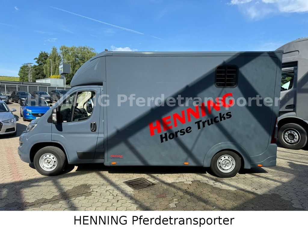 Leasing para Opel Movano 3 - Sitzer *AUFBAU NEU*  Opel Movano 3 - Sitzer *AUFBAU NEU*: foto 10