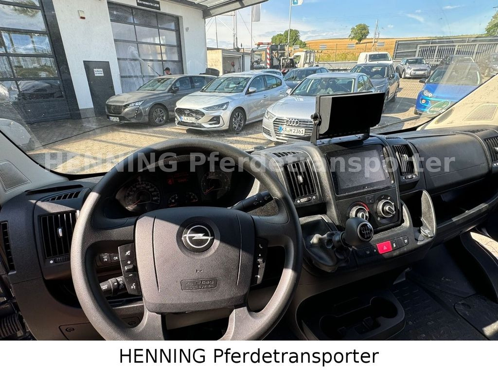 Leasing para Opel Movano 3 - Sitzer *AUFBAU NEU*  Opel Movano 3 - Sitzer *AUFBAU NEU*: foto 12