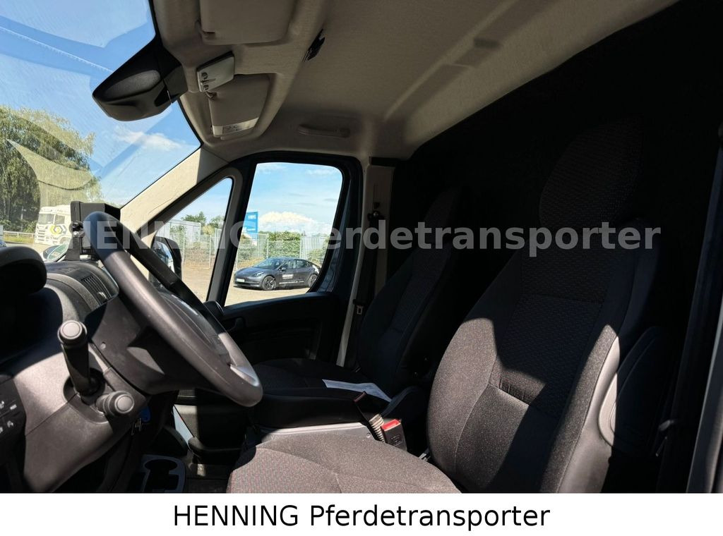 Leasing para Opel Movano 3 - Sitzer *AUFBAU NEU*  Opel Movano 3 - Sitzer *AUFBAU NEU*: foto 11