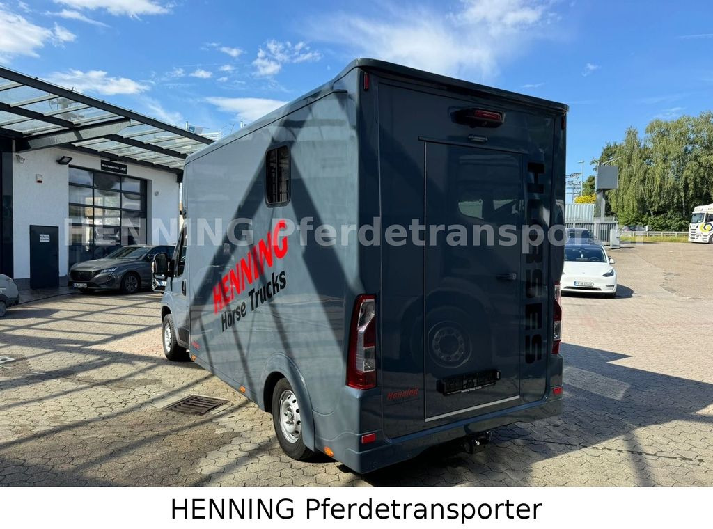 Leasing para Opel Movano 3 - Sitzer *AUFBAU NEU*  Opel Movano 3 - Sitzer *AUFBAU NEU*: foto 8