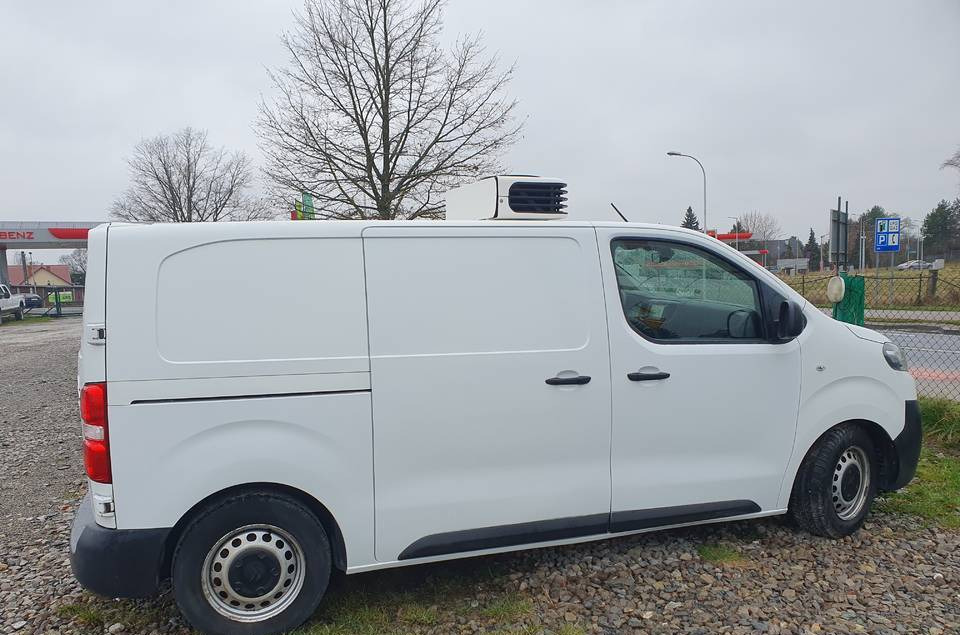 Citroen JUMPY CHLODNIA MROZNIA CARRIER+230V KLIMA EURO6 - Furgoneta frigorifica: foto 5 Citroen JUMPY CHLODNIA MROZNIA CARRIER+230V KLIMA EURO6 - Furgoneta frigorifica: foto 5