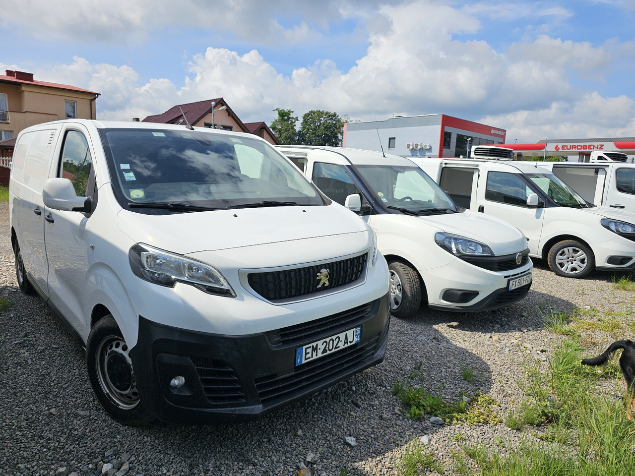PEUGEOT Expert CHLODNIA THERMOKING KLIMA EURO6 - Furgoneta frigorifica: foto 1 PEUGEOT Expert CHLODNIA THERMOKING KLIMA EURO6 - Furgoneta frigorifica: foto 1