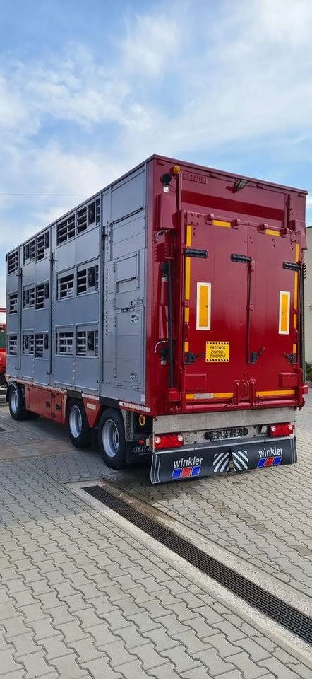 Pezzaioli RBA 32/TRZYOSIOWA PRZYCZEPA-2XBYDŁO,3X TRZODA - Remolque transporte de ganado: foto 4 Pezzaioli RBA 32/TRZYOSIOWA PRZYCZEPA-2XBYDŁO,3X TRZODA - Remolque transporte de ganado: foto 4