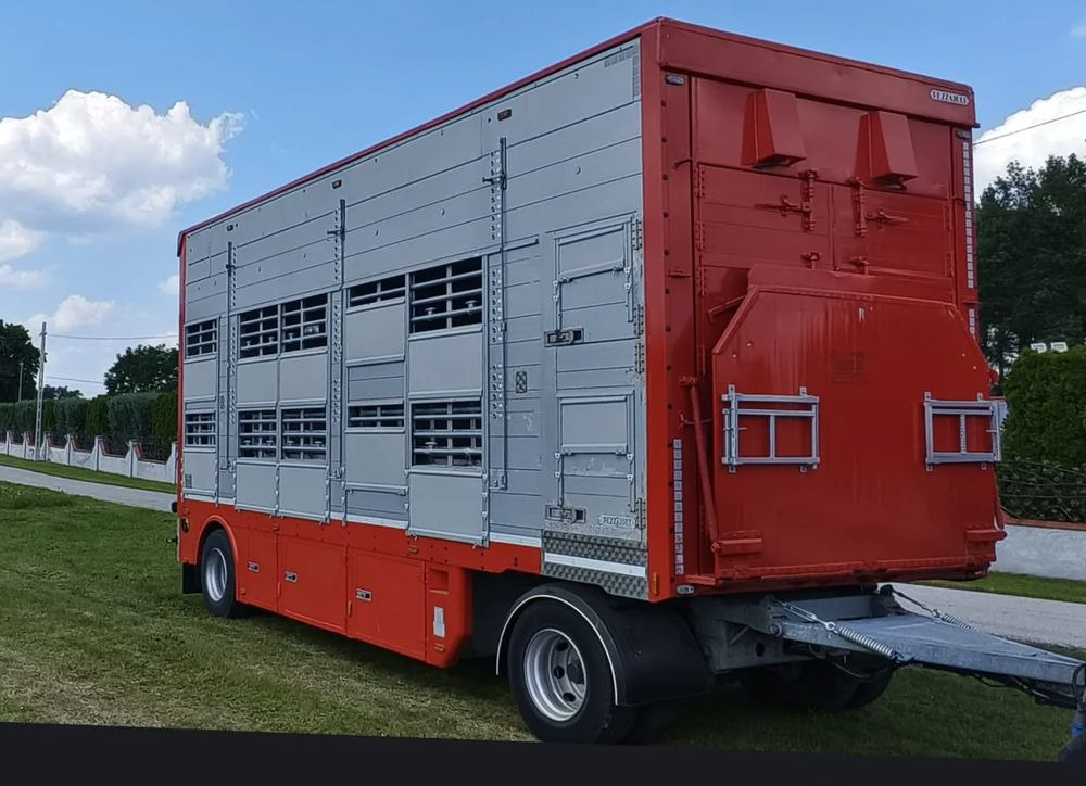 Pezzaioli RBA22 Dwuosiowa Przyczepa – 2x Bydło, 3x Trzoda – 2016r – Bezwypadkowa! - Remolque transporte de ganado: foto 2 Pezzaioli RBA22 Dwuosiowa Przyczepa – 2x Bydło, 3x Trzoda – 2016r – Bezwypadkowa! - Remolque transporte de ganado: foto 2