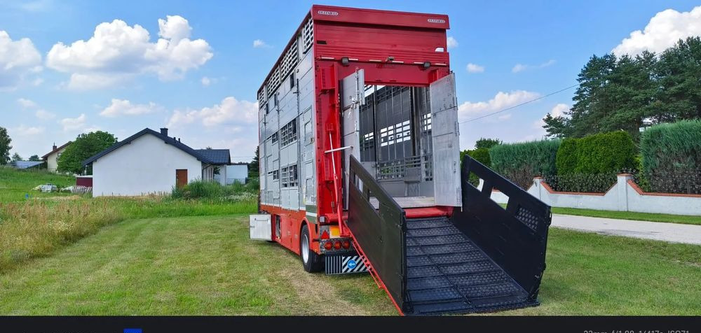 Pezzaioli RBA22 Dwuosiowa Przyczepa – 2x Bydło, 3x Trzoda – 2016r – Bezwypadkowa! - Remolque transporte de ganado: foto 1 Pezzaioli RBA22 Dwuosiowa Przyczepa – 2x Bydło, 3x Trzoda – 2016r – Bezwypadkowa! - Remolque transporte de ganado: foto 1