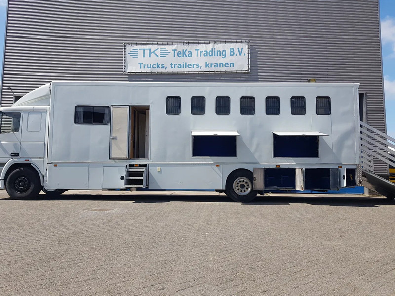 Camión para caballos DAF 95.350 Paardenwagen met zitverblijf 7 paarden 7 horses: foto 9