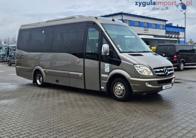 Minibús, Furgoneta de pasajeros Mercedes-Benz SPRINTER SPICA 519: foto 1