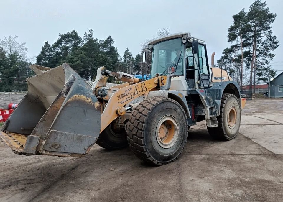 Liebherr L544 2 plus 2 - Cargadora de ruedas: foto 2 Liebherr L544 2 plus 2 - Cargadora de ruedas: foto 2