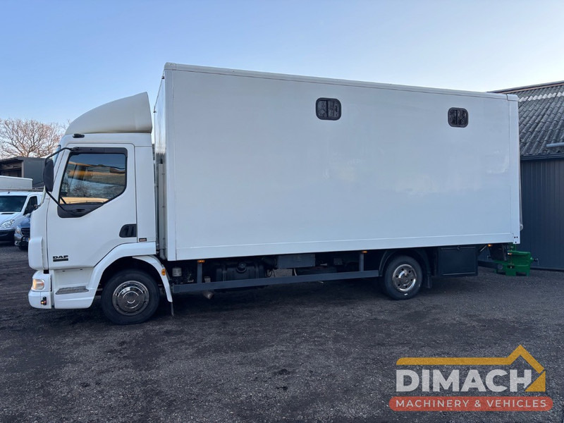 Leasing para DAF FA LF45.150 4 paards, laadlift. Horsetruck NL truck DAF FA LF45.150 4 paards, laadlift. Horsetruck NL truck: foto 6