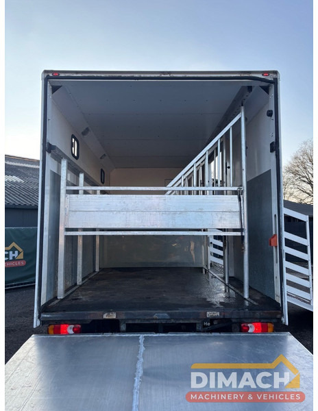 Leasing para DAF FA LF45.150 4 paards, laadlift. Horsetruck NL truck DAF FA LF45.150 4 paards, laadlift. Horsetruck NL truck: foto 16