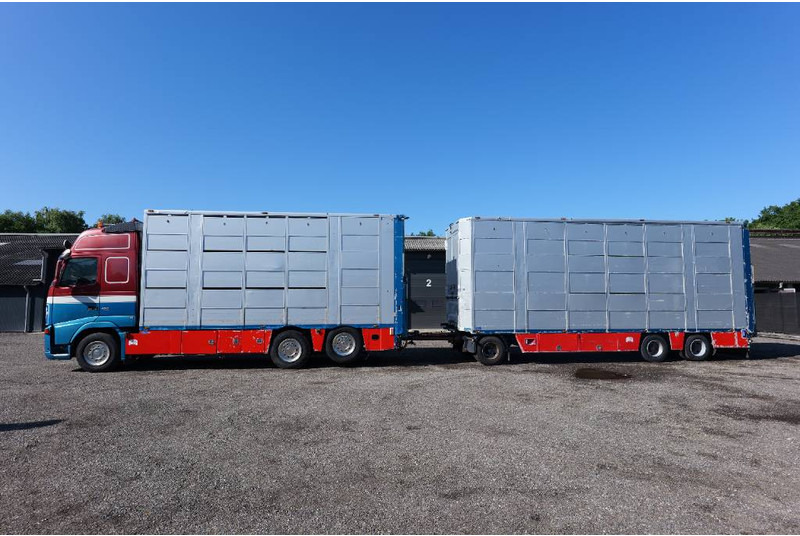Volvo FH 13 480 6x2 3 stock livestock transport Cuppers - Camión transporte de ganado: foto 1 Volvo FH 13 480 6x2 3 stock livestock transport Cuppers - Camión transporte de ganado: foto 1