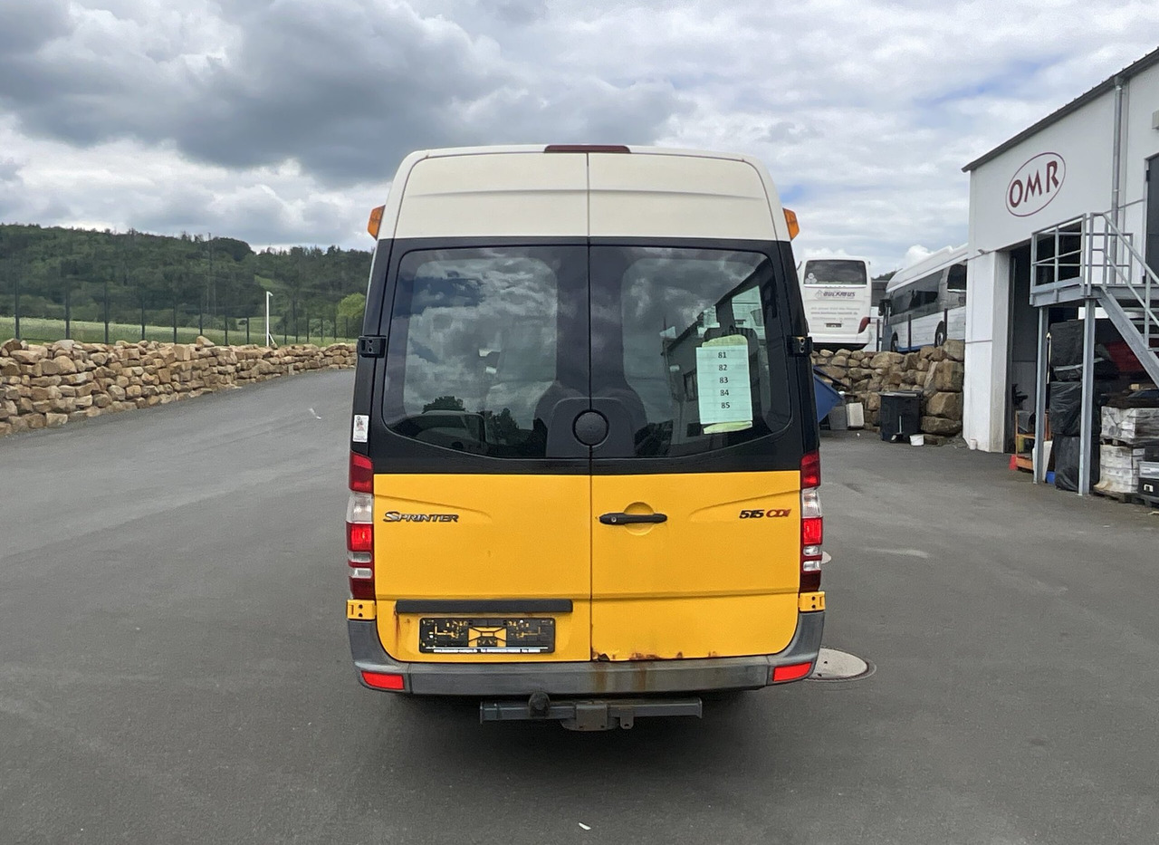 Minibús, Furgoneta de pasajeros Mercedes-Benz 516 CDI Sprinter: foto 9