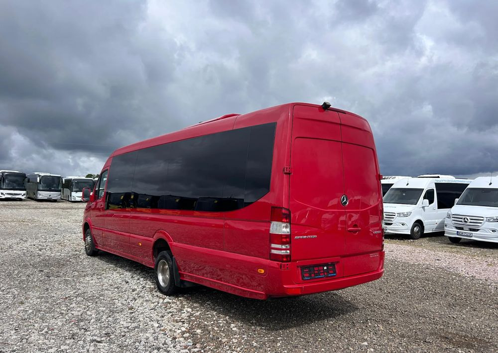Minibús, Furgoneta de pasajeros Mercedes-Benz Sprinter 516: foto 7